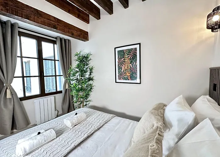Sublime In Marais Appartement